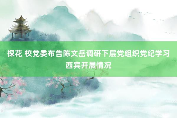 探花 校党委布告陈文岳调研下层党组织党纪学习西宾开展情况