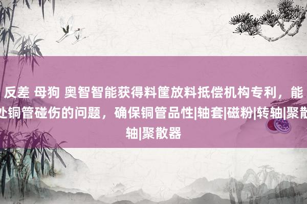 反差 母狗 奥智智能获得料筐放料抵偿机构专利，能惩处铜管碰伤的问题，确保铜管品性|轴套|磁粉|转轴|聚散器